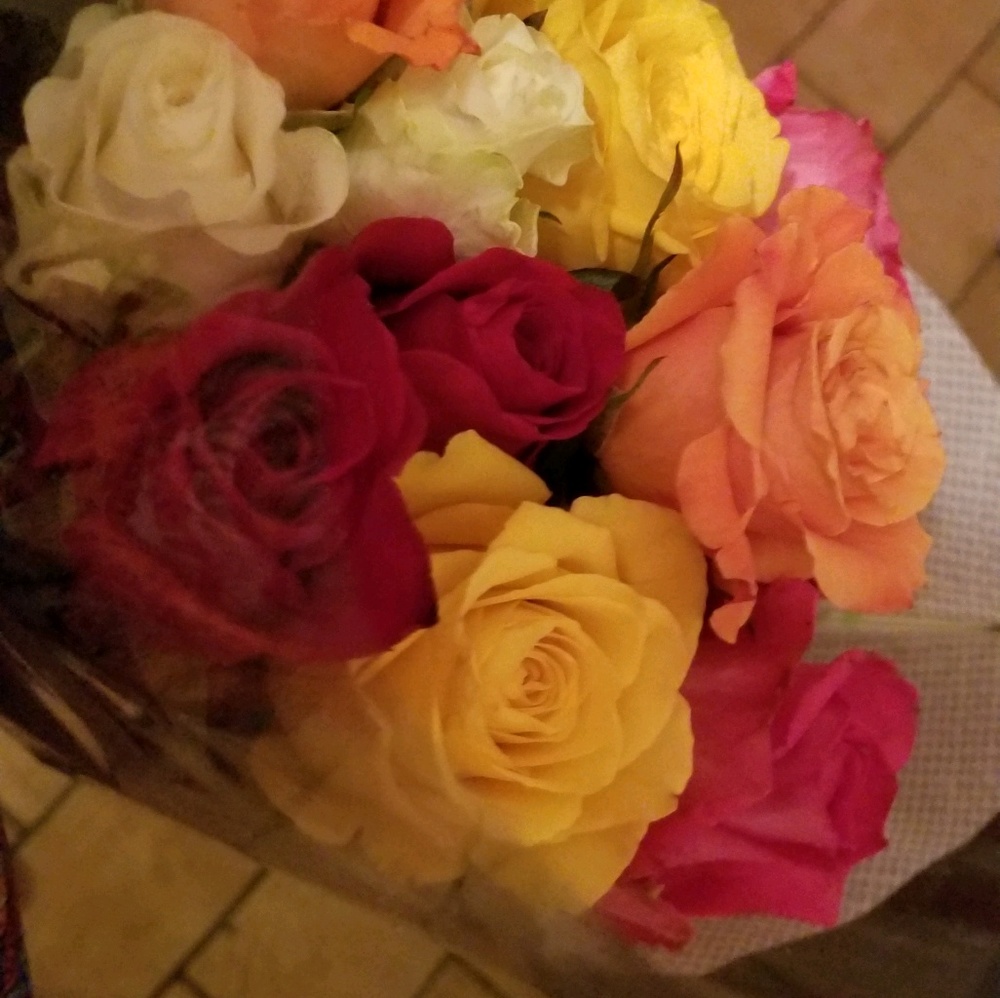 Meet your Posher, Carla